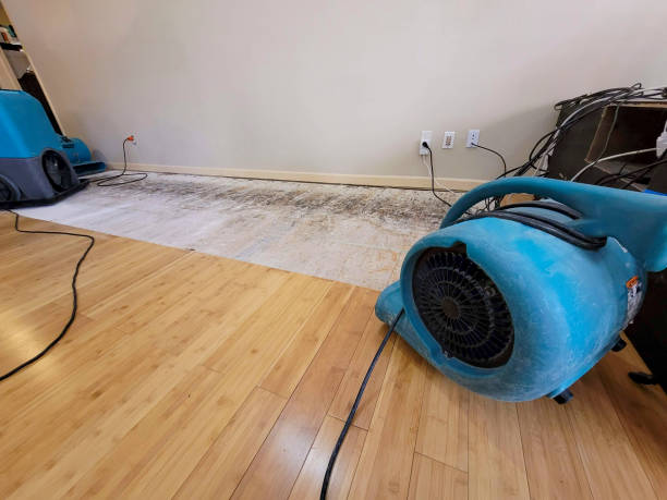 Professional Sewage Cleanup technician working in Wilder, KY